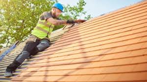 Best Roof Moss and Algae Removal  in Champion Heights, OH