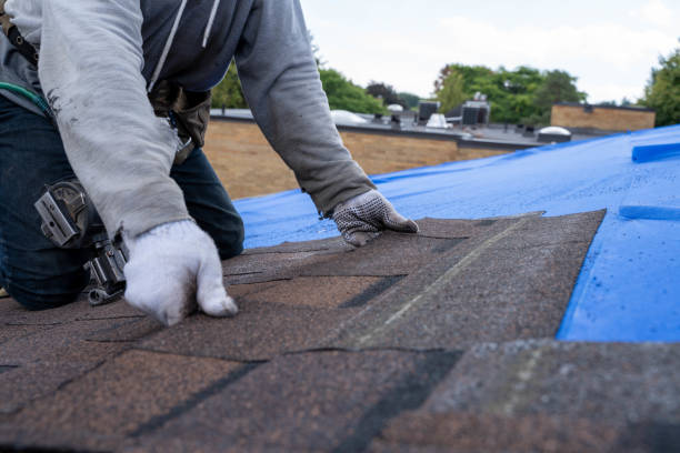 Fast & Reliable Emergency Roof Repairs in Champion Heights, OH