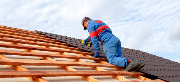 Best Roof Insulation Installation  in Champion Heights, OH